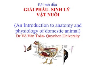Bài mở đầu  GIẢI PHẨU- SINH LÝ  VẬT NUÔI (An Introduction to anatomy and physiology of domestic animal) Dr Võ Văn Toàn- Quynhon University 