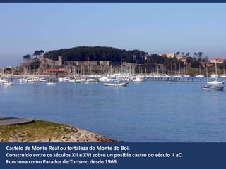 Castelo de Monte Real ou fortaleza do Monte do Boi.
Construído entre os séculos XII e XVI sobre un posible castro do século II aC.
Funciona como Parador de Turismo desde 1966.
 