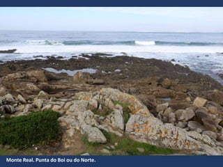 Monte Real. Punta do Boi ou do Norte.
 