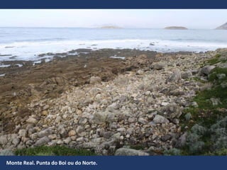 Monte Real. Punta do Boi ou do Norte.
 