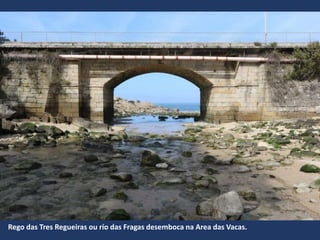 Rego das Tres Regueiras ou río das Fragas desemboca na Area das Vacas.
 