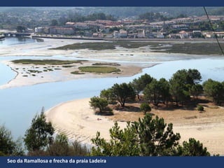 Seo da Ramallosa e frecha da praia Ladeira
 