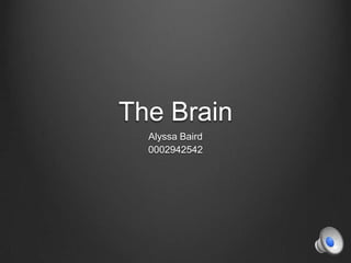 The Brain
Alyssa Baird
0002942542
 
