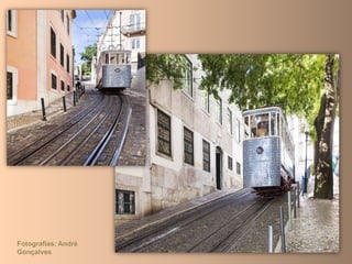 Fotografias: André
Gonçalves
 