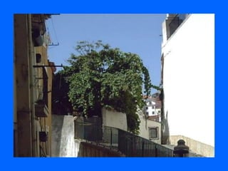 Bairro de alfama   portugal