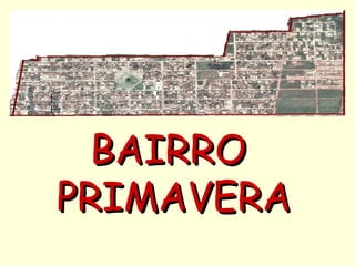 BAIRRO
PRIMAVERA
 