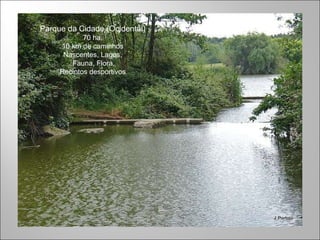 Parque da Cidade (Ocidental) 70 ha. 10 km de caminhos Nascentes, Lagos, Fauna, Flora, Recintos desportivos 