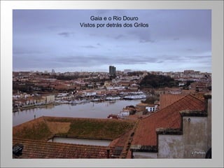 Gaia e o Rio Douro
Vistos por detrás dos Grilos
 