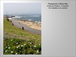 Passeando à Beira Mar
Entre as Praias e a Avenida
Os Castelos e os Jardins
 