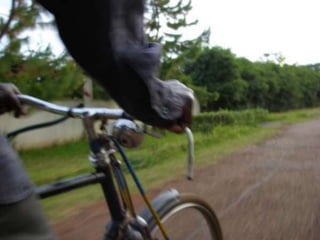 Baisikeli, DanWatch & Techno Trash