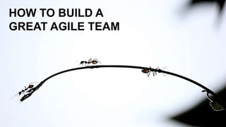 HOW TO BUILD A
GREAT AGILE TEAM
 