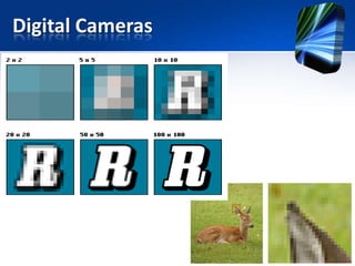 Digital Cameras

 