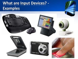 What are Input Devices? Examples

 