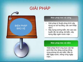 Biện pháp bảo vệ mềm
•Giải pháp thích ứng dựa vào hệ
sinh thái như tăng cường trồng
rừng phòng hộ ven biển, đầu tư
đất ngập nước, trồng rừng ngập
mặn…
Biện pháp bảo vệ cứng
• Giải pháp kĩ thuật công trình xây
dựng cơ sở hạ tầng, các can thiệp
vật lí.
• Xây dựng tường biển, tôn cao các
tuyến đê, kè sông, kè biển, xây
dựng đập ngăn nước mặn …
BIỆN PHÁP
BẢO VỆ
GIẢI PHÁP
 