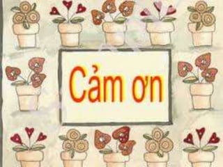 Nước biển dâng và nguy cơ của nước biển dâng