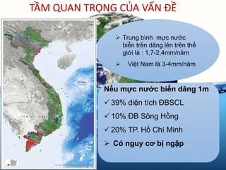 TẦM QUAN TRỌNG CỦA VẤN ĐỀ
 Trung bình mực nước
biển trên dâng lên trên thế
giới là : 1,7-2,4mm/năm
 Việt Nam là 3-4mm/năm
Nếu mực nước biển dâng 1m
 39% diện tích ĐBSCL
 10% ĐB Sông Hồng
 20% TP. Hồ Chí Minh
 Có nguy cơ bị ngập
 