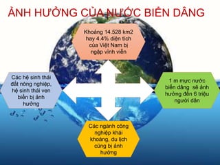 ẢNH HƯỞNG CỦA NƯỚC BIỂN DÂNG
Các hệ sinh thái
đất nông nghiệp,
hệ sinh thái ven
biển bị ảnh
hưởng
Các ngành công
nghiệp khái
khoáng, du lịch
cũng bị ảnh
hưởng
Khoảng 14.528 km2
hay 4.4% diện tích
của Việt Nam bị
ngập vĩnh viễn
1 m mực nước
biển dâng sẽ ảnh
hưởng đến 6 triệu
người dân
 