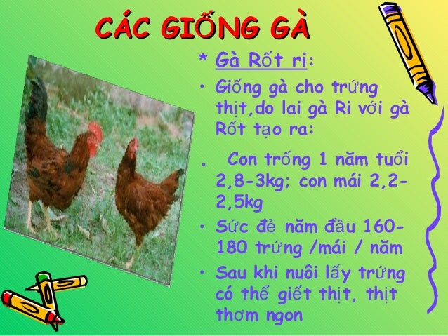 子供向けぬりえ 無料印刷可能ga Ri Rốt 子供向けぬりえ 無料印刷可能ga Ri Rốt