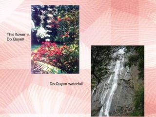 6/Travel: Landscapes- Bach Ma National ParkThe rich flora and fauna also attract many tourists.