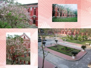 6/Travel: Quoc Hoc HueQuoc Hoc High School is a secondary school in Hue, Thua Thien - Hue, Vietnam. Founded on October 23, 1896, Quoc Hoc is the first and oldest high school in Vietnam. Ho Chi Minh president studied at this school