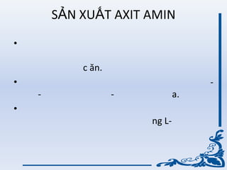 SẢN XUẤT AXIT AMIN
•
c ăn.
• -
- - a.
•
ng L-
 