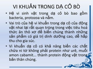 VI KHUẨN TRONG DẠ CỎ BÒ
• Hệ vi sinh vật trong dạ cỏ bò bao gồm
bacteria, protozoa và nấm.
• Vai trò của hệ vi khuẩn trong dạ cỏ của động
vật nhai lại rất quan trọng trong việc tiêu hoá
thức ăn thô xơ để biến chúng thành những
sản phẩm có giá trị dinh dƣỡng cao, dễ hấp
thu cho gia súc.
• Vi khuẩn dạ cỏ có khả năng biến các chất
chứa ni tơ không phải protein nhƣ urê, muối
amon cabamit... thành protein động vật trong
bản thân chúng.
 