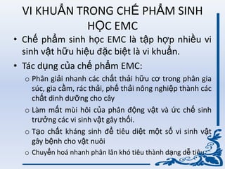 VI KHUẨN TRONG CHẾ PHẨM SINH
HỌC EMC
• Chế phẩm sinh học EMC là tập hợp nhiều vi
sinh vật hữu hiệu đặc biệt là vi khuẩn.
• Tác dụng của chế phẩm EMC:
o Phân giải nhanh các chất thải hữu cơ trong phân gia
súc, gia cầm, rác thải, phế thải nông nghiệp thành các
chất dinh dƣỡng cho cây
o Làm mất mùi hôi của phân động vật và ức chế sinh
trƣởng các vi sinh vật gây thối.
o Tạo chất kháng sinh để tiêu diệt một số vi sinh vật
gây bệnh cho vật nuôi
o Chuyển hoá nhanh phân lân khó tiêu thành dạng dễ tiêu.
 