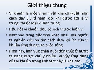 Giới thiệu chung
• Vi khuẩn là một vi sinh vật khá cổ (xuất hiện
cách đây 3,7 tỉ năm) đôi khi đƣợc gọi là vi
trùng, thuộc loại kí sinh trùng.
• Hầu hết vi khuẩn đều có kích thƣớc hiển vi.
• Nhờ vào từng đặc tính khác nhau mà ngƣời
ta nghiên cứu và tìm cách đƣa lợi ích của vi
khuẩn ứng dụng vào cuộc sống.
• Hiện nay, lĩnh vực chăn nuôi động vật ở nƣớc
ta đang đƣợc chú ý nhiều. Vì vậy ứng dụng
của vi khuẩn trong lĩnh vực này là khá cao.
 