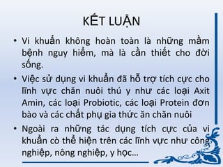 KẾT LUẬN
• Vi khuẩn không hoàn toàn là những mầm
bệnh nguy hiểm, mà là cần thiết cho đời
sống.
• Việc sử dụng vi khuẩn đã hỗ trợ tích cực cho
lĩnh vực chăn nuôi thú y nhƣ các loại Axit
Amin, các loại Probiotic, các loại Protein đơn
bào và các chất phụ gia thức ăn chăn nuôi
• Ngoài ra những tác dụng tích cực của vi
khuẩn cò thể hiện trên các lĩnh vực nhƣ công
nghiệp, nông nghiệp, y học…
 