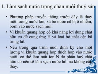 1. Làm sạch nước trong chăn nuôi thuỷ sản
• Phương pháp truyền thống trước đây là thay
một lượng nước lớn, xả bỏ nước cũ bị ô nhiễm,
bơm vào nước sạch mới.
• Vi khuẩn quang hợp có khả năng lợi dụng chất
hữu cơ để cung ứng H và loại bỏ chất cặn bã
trong hồ.
• Nếu trong quá trình nuôi định kỳ cho một
lượng vi khuẩn quang hợp thích hợp vào nước
nuôi, có thể làm mất ion N do phân huỷ chất
hữu cơ nên sẽ làm sạch nước hồ mà không cần
thay.
 