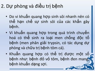 2. Dự phòng và điều trị bệnh
• Do vi khuẩn quang hợp sinh sôi nhanh nên có
thể hạn chế sự sinh sôi của các khẩn gây
bệnh.
• Vi khuẩn quang hợp trong quá trình chuyển
hoá có thể sinh ra loại men chống độc tố
bệnh (men phân giải trypsin, có tác dụng dự
phòng và chữa trị bệnh tôm cá).
• Khuẩn quang hợp có thể trị đƣợc một số
bệnh nhƣ: bệnh đỏ vỏ tôm, bệnh đen mang,
bệnh khuẩn dạng sợi.
 