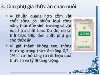 3. Làm phụ gia thức ăn chăn nuôi
• Vi khuẩn quang hợp gồm vật
chất sống có nhiều loại công
năng thúc đẩy sinh trƣởng và vật
hoá hợp chất béo. Do đó, nó có
thể trực tiếp làm chất phụ gia
cho thức ăn.
• Vì giá thành không cao, thông
thƣờng trong thức ăn tăng 0,5 -
1% là có thể tăng rõ rệt hiệu quả
thức ăn và tỷ lệ tăng trọng.
 