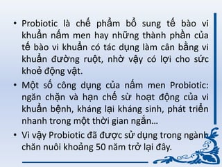 • Probiotic là chế phẩm bổ sung tế bào vi
khuẩn nấm men hay những thành phần của
tế bào vi khuẩn có tác dụng làm cân bằng vi
khuẩn đƣờng ruột, nhờ vậy có lợi cho sức
khoẻ động vật.
• Một số công dụng của nấm men Probiotic:
ngăn chặn và hạn chế sừ hoạt động của vi
khuẩn bệnh, kháng lại kháng sinh, phát triển
nhanh trong một thời gian ngắn…
• Vì vậy Probiotic đã đƣợc sử dụng trong ngành
chăn nuôi khoảng 50 năm trở lại đây.
 