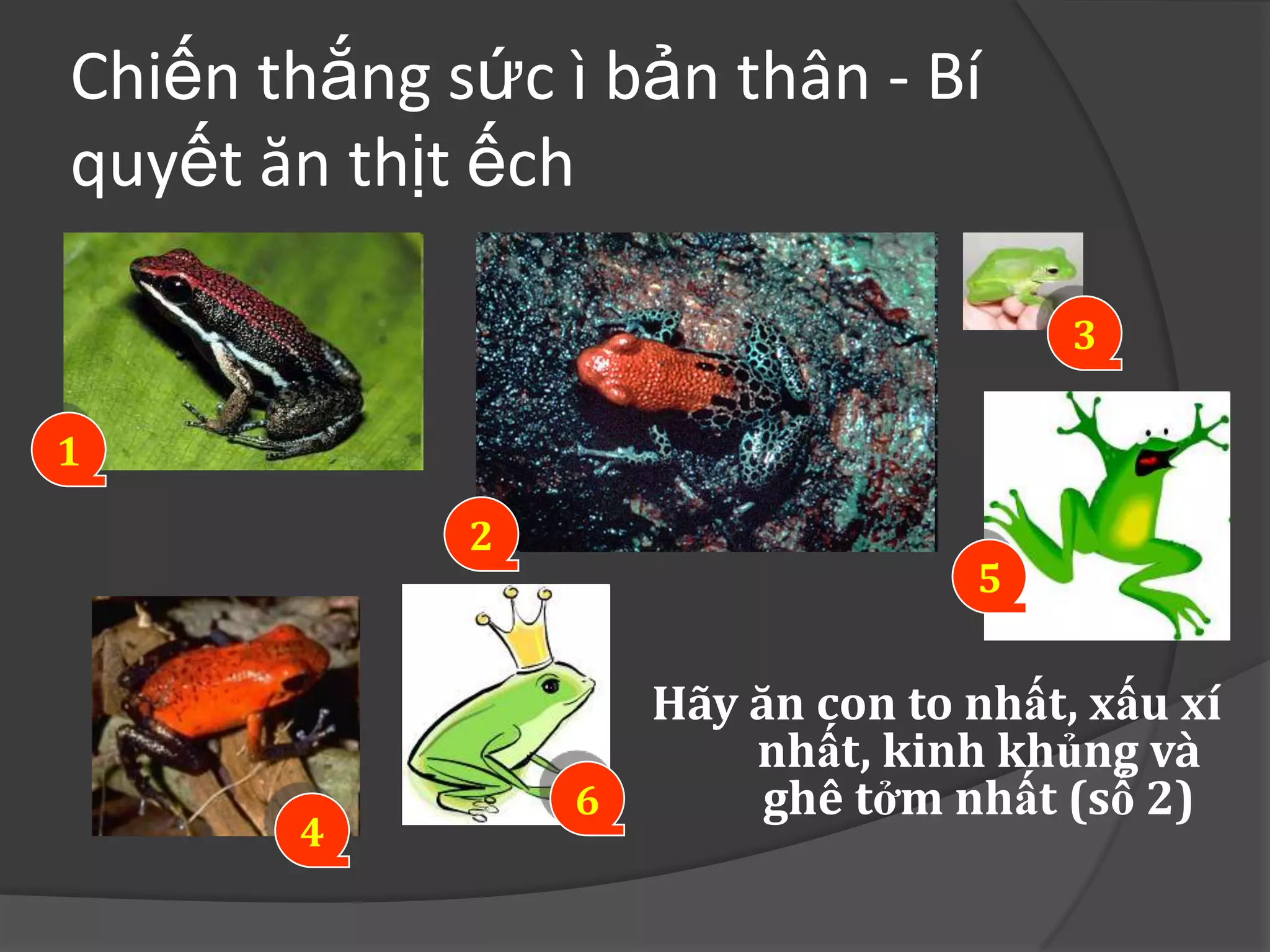 Chiến thắng sức ì bản thân - Bí
quyết ăn thịt ếch

                                        3

1
             2
                                   5


                     Hãy ăn con to nhất, xấu xí
                         nhất, kinh khủng và
                 6        ghê tởm nhất (số 2)
       4
 