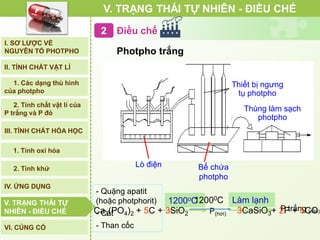 Điều chế
V. TRẠNG THÁI TỰ NHIÊN - ĐIỀU CHẾ
Photpho trắng
Thiết bị ngưng
tụ photpho
Lò điện
Thùng làm sạch
photpho
Bể chứa
photpho
I. SƠ LƯỢC VỀ
NGUYÊN TỐ PHOTPHO
II. TÍNH CHẤT VẬT LÍ
III. TÍNH CHẤT HÓA HỌC
2. Tính chất vật lí của
P trắng và P đỏ
IV. ỨNG DỤNG
V. TRẠNG THÁI TỰ
NHIÊN - ĐIỀU CHẾ
1. Các dạng thù hình
của photpho
2. Tính khử
1. Tính oxi hóa
VI. CỦNG CỐ
V. TRẠNG THÁI TỰ
NHIÊN - ĐIỀU CHẾ
- Quặng apatit
(hoặc photphorit)
- Cát
- Than cốc
1200oC Làm lạnh
P trắng (rắn)P(hơi)Ca3(PO4)2 + 5C + 3SiO2 3CaSiO3+ 2P + 5CO
12000C
 