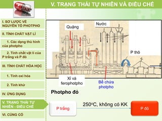 Xỉ và
ferophotpho
V. TRẠNG THÁI TỰ NHIÊN VÀ ĐIỀU CHẾ
Photpho đỏ
P đỏP trắng
250oC, không có KK
Quặng
Nước
Bể chứa
photpho
P thô
I. SƠ LƯỢC VỀ
NGUYÊN TỐ PHOTPHO
II. TÍNH CHẤT VẬT LÍ
III. TÍNH CHẤT HÓA HỌC
2. Tính chất vật lí của
P trắng và P đỏ
IV. ỨNG DỤNG
V. TRẠNG THÁI TỰ
NHIÊN - ĐIỀU CHẾ
1. Các dạng thù hình
của photpho
2. Tính khử
1. Tính oxi hóa
VI. CỦNG CỐ
V. TRẠNG THÁI TỰ
NHIÊN - ĐIỀU CHẾ
 