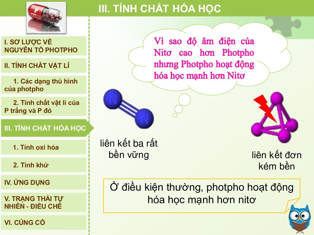 Bai trinh chieu