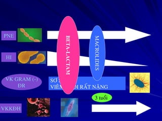 VK GRAM (-)
ÑR
SÔ SINH
VIEÂM PHOÅI RAÁT NAËNG
PNE
HI
VKKÑH
3 tuoåi
MACROLIDES
BETA-LACTAM
 