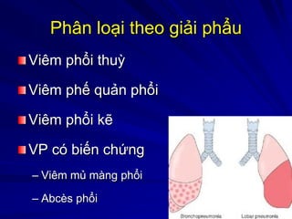 Phân loại theo giải phẩu
Viêm phổi thuỳ
Viêm phế quản phổi
Viêm phổi kẽ
VP có biến chứng
– Viêm mủ màng phổi
– Abcès phổi
 