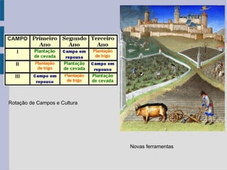Rotação de Campos e Cultura
Novas ferramentas
 