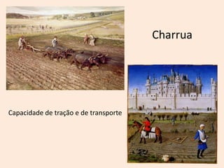 Charrua
Capacidade de tração e de transporte