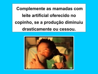 Complemente as mamadas com
   leite artificial oferecido no
copinho, se a produção diminuiu
   drasticamente ou cessou.




                            14
 