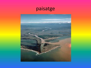 paisatge
 