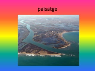 paisatge
 