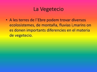 La Vegetecio
• A les terres de l´Ebre podem trovar diversos
  ecolosistemes, de montaña, fluvias i,marins on
  es donen importants diferencies en el materia
  de vegetecio.
 