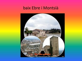 baix Ebre i Montsià
 