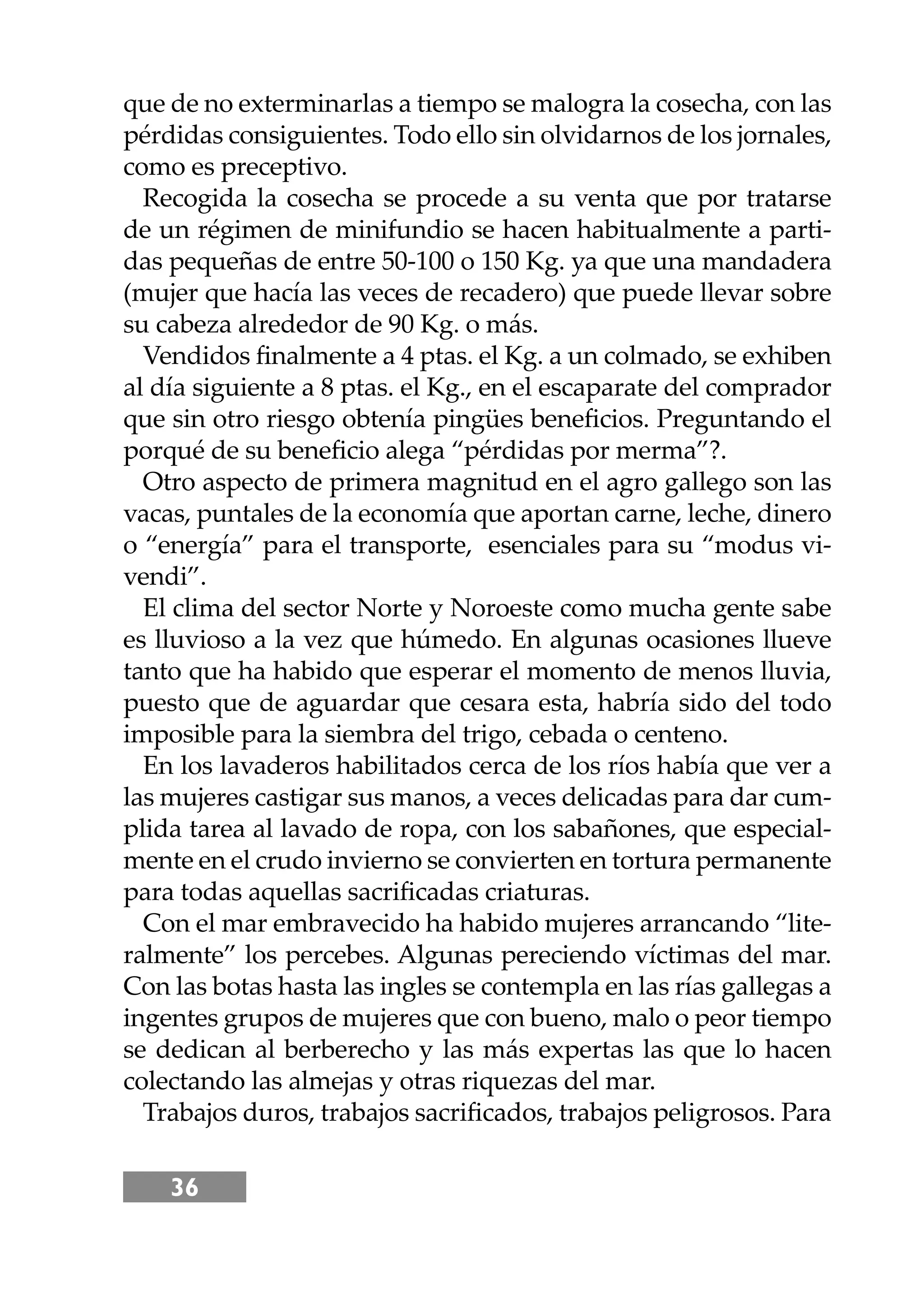 36
que de no exterminarlas a tiempo se malogra la cosecha, con las
pérdidas consiguientes. Todo ello sin olvidarnos de los jornales,
como es preceptivo.
Recogida la cosecha se procede a su venta que por tratarse
de un régimen de minifundio se hacen habitualmente a parti-
das pequeñas de entre 50-100 o 150 Kg. ya que una mandadera
(mujer que hacía las veces de recadero) que puede llevar sobre
su cabeza alrededor de 90 Kg. o más.
Vendidos ﬁnalmente a 4 ptas. el Kg. a un colmado, se exhiben
al día siguiente a 8 ptas. el Kg., en el escaparate del comprador
que sin otro riesgo obtenía pingües beneﬁcios. Preguntando el
porqué de su beneﬁcio alega “pérdidas por merma”?.
Otro aspecto de primera magnitud en el agro gallego son las
vacas, puntales de la economía que aportan carne, leche, dinero
o “energía” para el transporte, esenciales para su “modus vi-
vendi”.
El clima del sector Norte y Noroeste como mucha gente sabe
es lluvioso a la vez que húmedo. En algunas ocasiones llueve
tanto que ha habido que esperar el momento de menos lluvia,
puesto que de aguardar que cesara esta, habría sido del todo
imposible para la siembra del trigo, cebada o centeno.
En los lavaderos habilitados cerca de los ríos había que ver a
las mujeres castigar sus manos, a veces delicadas para dar cum-
plida tarea al lavado de ropa, con los sabañones, que especial-
mente en el crudo invierno se convierten en tortura permanente
para todas aquellas sacriﬁcadas criaturas.
Con el mar embravecido ha habido mujeres arrancando “lite-
ralmente” los percebes. Algunas pereciendo víctimas del mar.
Con las botas hasta las ingles se contempla en las rías gallegas a
ingentes grupos de mujeres que con bueno, malo o peor tiempo
se dedican al berberecho y las más expertas las que lo hacen
colectando las almejas y otras riquezas del mar.
Trabajos duros, trabajos sacriﬁcados, trabajos peligrosos. Para
 