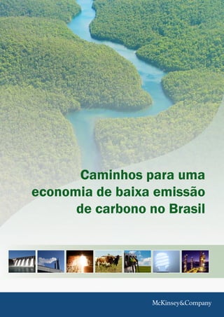 Caminhos para uma
economia de baixa emissão
      de carbono no Brasil
 