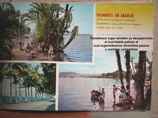 Paradisíaco lugar también ya desaparecido: el inolvidable palmar al  cual organizábamos divertidos paseos  y comidas campestres. 