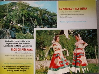 Las modelos en los jardines de  El Caimancito son Angélica  Sosa y Bolita Rouyer Un florido cerro cubierto de  vegetación en San Bartolo. La modelo es María Luisa Ayala 